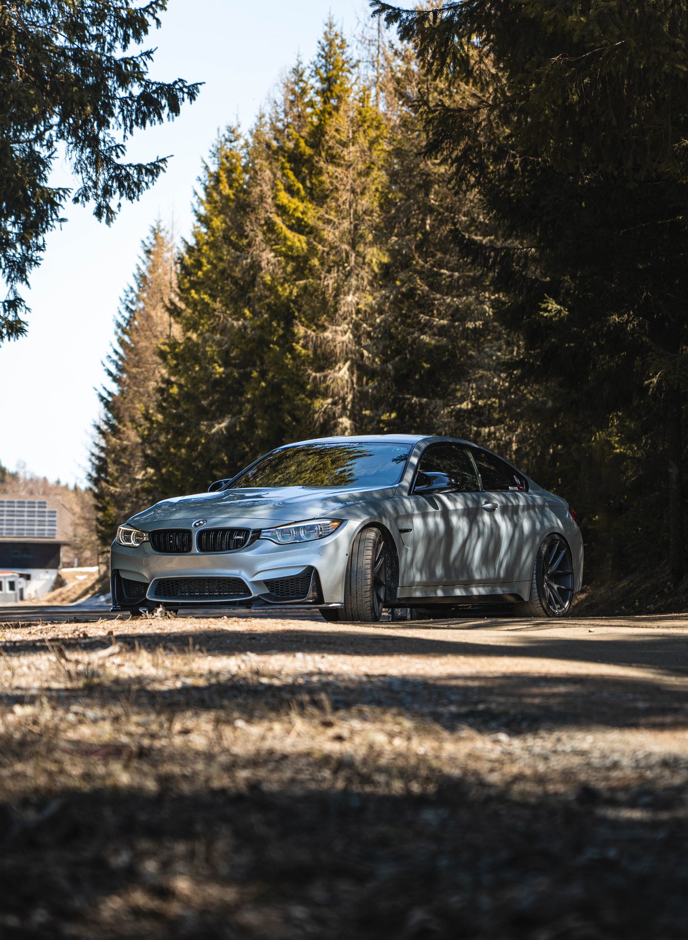 Autofotografie Kärnten — BMW M4 auf einer Waldstraße im Gegenlicht