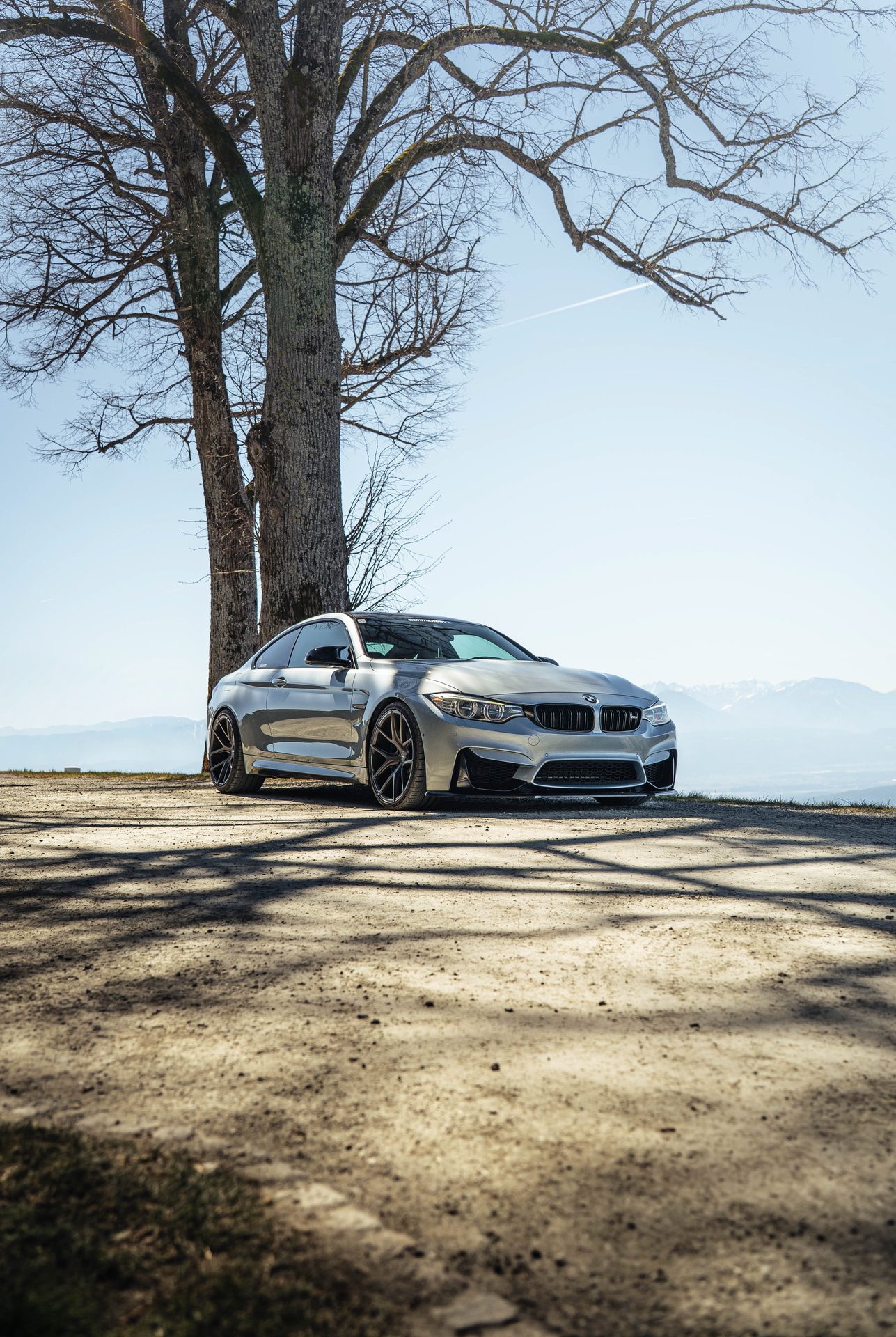 Autofotografie Kärnten — BMW M4 in Silber unter einem Baum mit Blick auf die Berge
